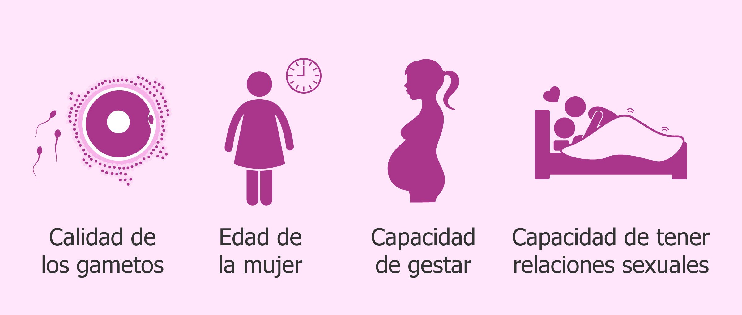 Ginecólogo obstetra (factores fertilidad)